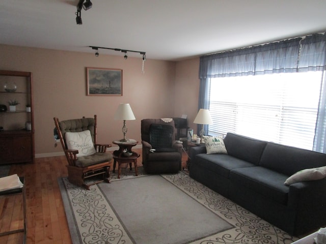 living room with hardwood / wood-style flooring and rail lighting