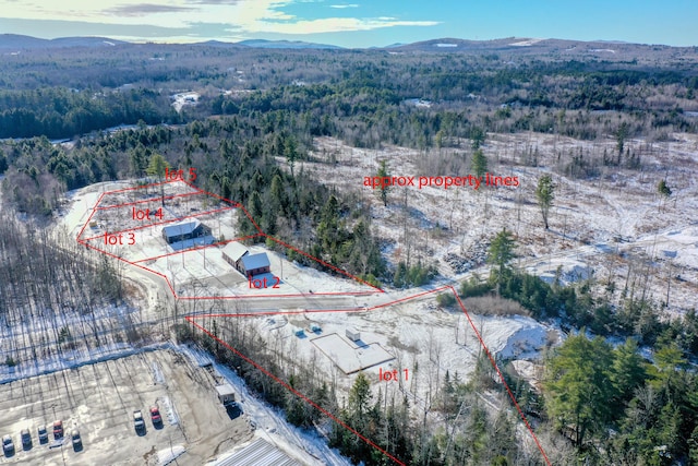 drone / aerial view featuring a mountain view