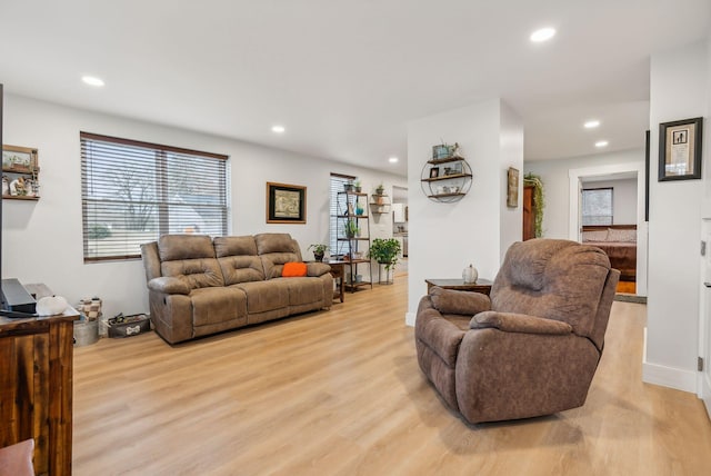 living room featuring light hardwood / wood-style flooring