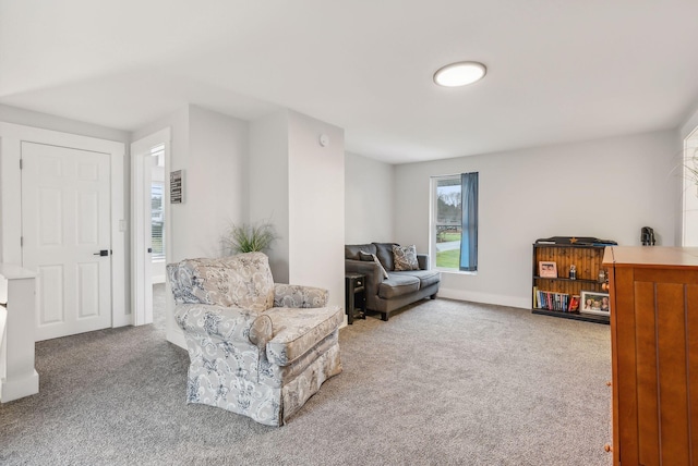 sitting room with carpet