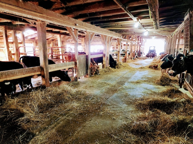 view of horse barn