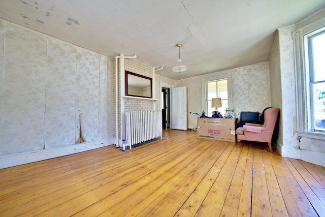 unfurnished room featuring radiator, light hardwood / wood-style flooring, and plenty of natural light