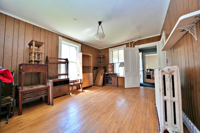 misc room with wooden walls, crown molding, and light hardwood / wood-style floors