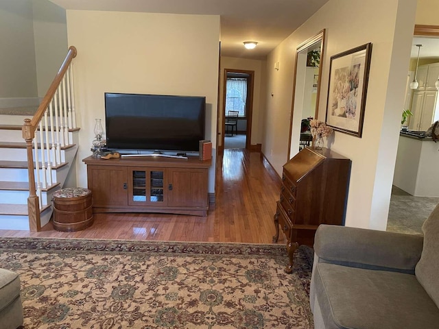 living room with dark hardwood / wood-style flooring