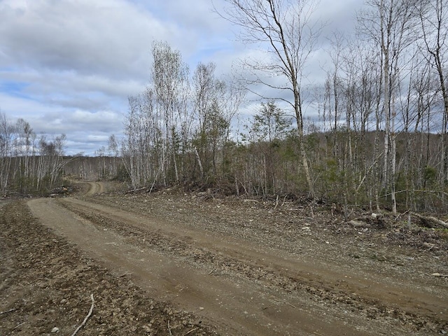 L6S Treadwell Hill Rd, Springfield, ME 04487