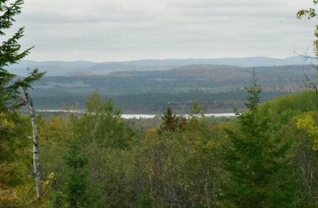 Listing photo 2 for 0 Portage Rd, Portage Lake ME 04768