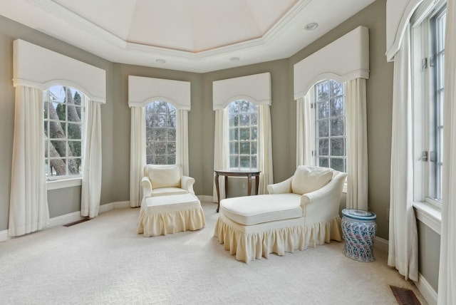 sunroom with a raised ceiling and a wealth of natural light