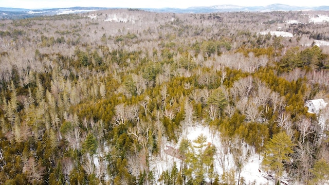 drone / aerial view featuring a mountain view