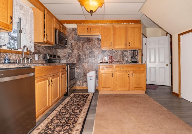 kitchen with appliances with stainless steel finishes, dark hardwood / wood-style flooring, tasteful backsplash, a drop ceiling, and sink