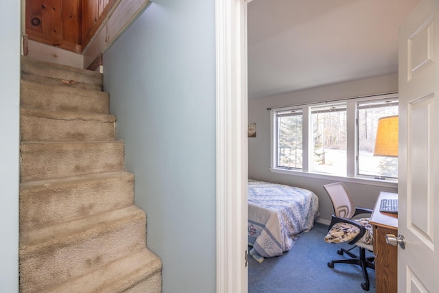 bedroom with carpet floors