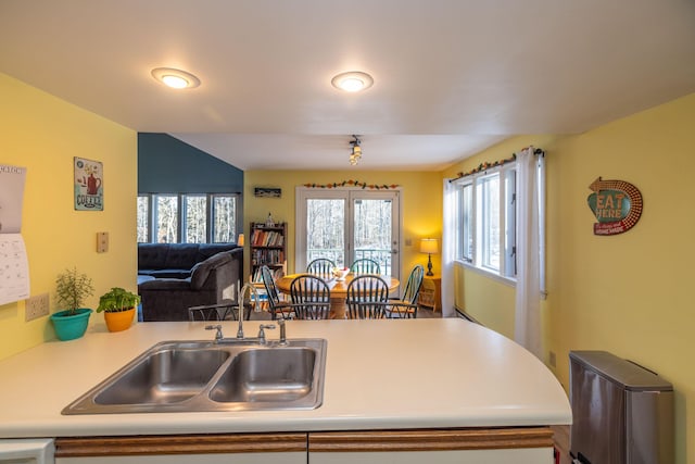 kitchen with white dishwasher, plenty of natural light, and sink