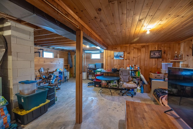 basement with wood walls