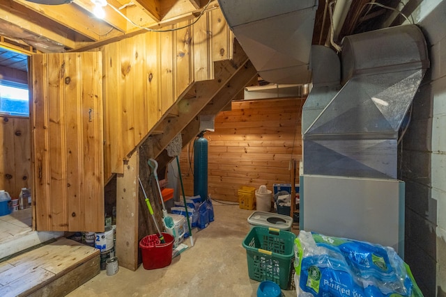 basement with wood walls