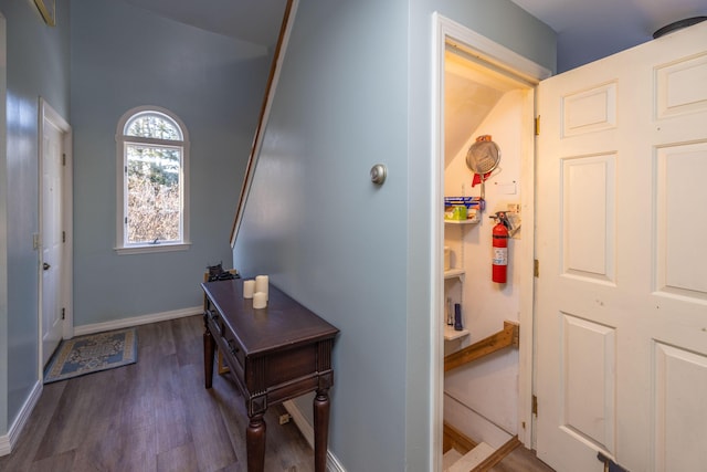 interior space featuring dark hardwood / wood-style flooring