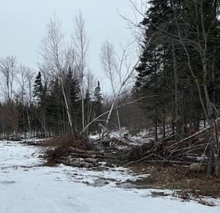 154 Old Brownville Rd, Sebec, ME 04481 - view of snow covered land