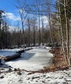 154 Old Brownville Rd, Sebec, ME 04481 - view of street