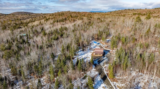 154 Old Brownville Rd, Sebec, ME 04481 - view of subject property with a forest and mountains