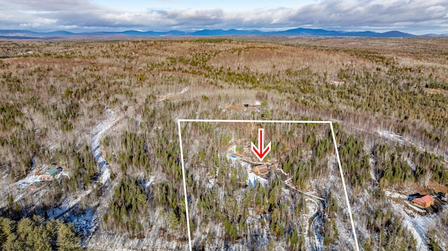154 Old Brownville Rd, Sebec, ME 04481 - aerial view of property's location featuring property parcel outlined and mountains