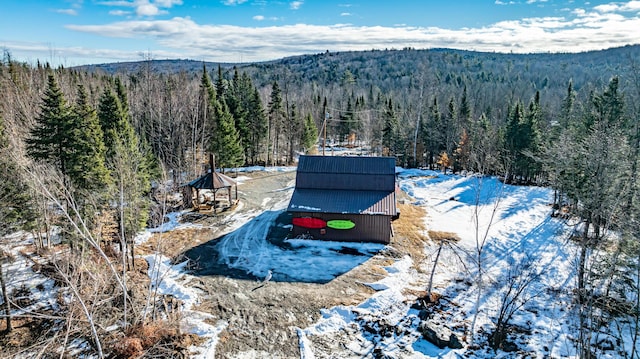 154 Old Brownville Rd, Sebec, ME 04481 - view of mountain background with a heavily wooded area