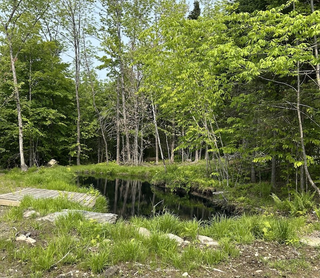 154 Old Brownville Rd, Sebec, ME 04481 - view of tree filled area