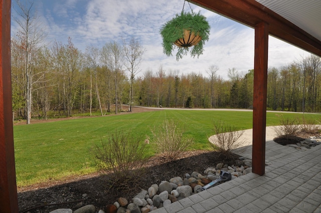 view of yard featuring a patio