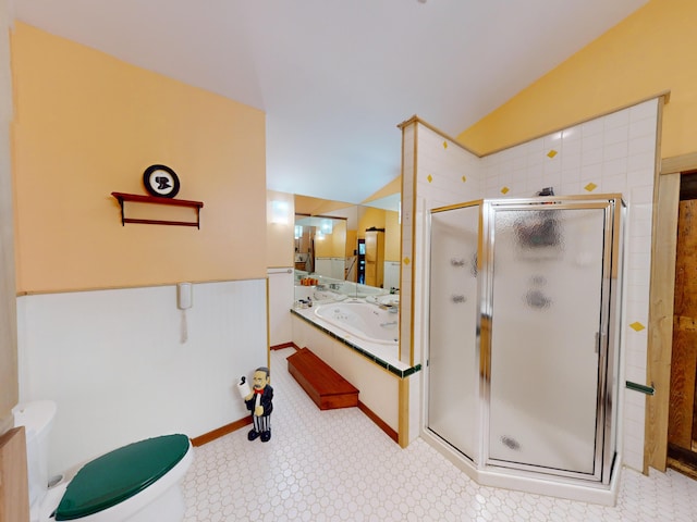 bathroom featuring sink, toilet, a shower with door, and vaulted ceiling