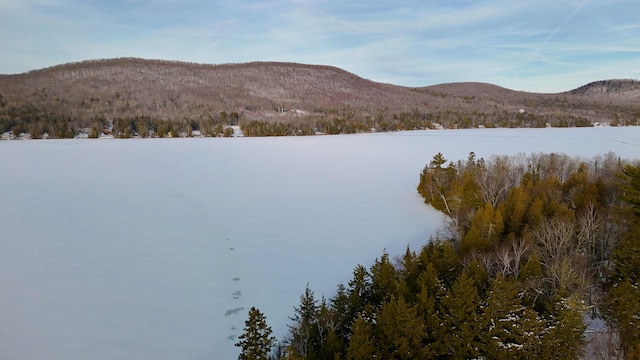 water view featuring a mountain view