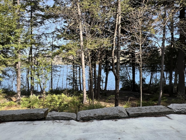 169 Bowers Blvd, Island Falls, ME 04747 - photo 16