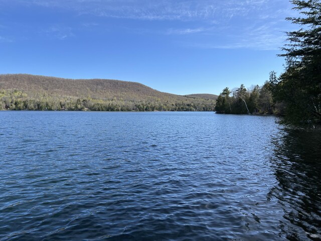 169 Bowers Blvd, Island Falls, ME 04747 - photo 19