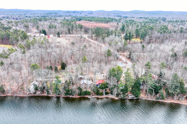 drone / aerial view with a water and mountain view