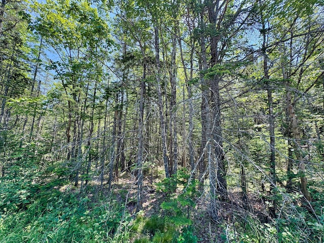 LOT5 Crooked Rd, Bar Harbor, ME 04609