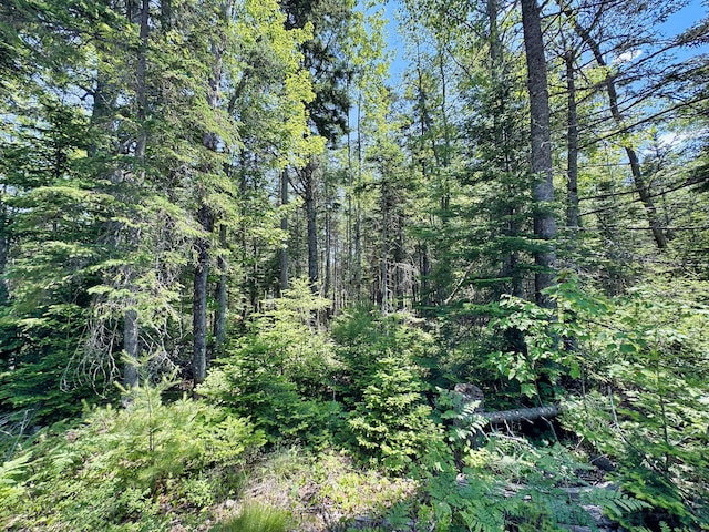 LOT5 Crooked Rd, Bar Harbor, ME 04609