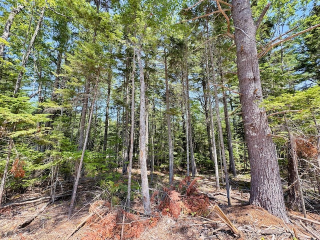 LOT5 Crooked Rd, Bar Harbor, ME 04609
