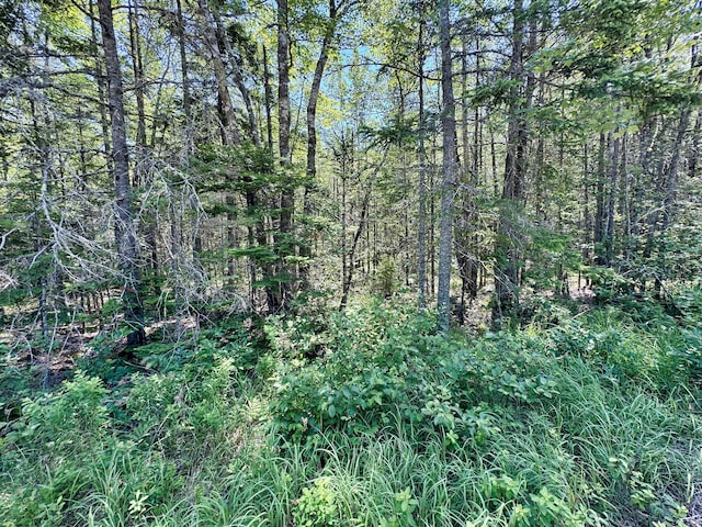 LOT5 Crooked Rd, Bar Harbor, ME 04609
