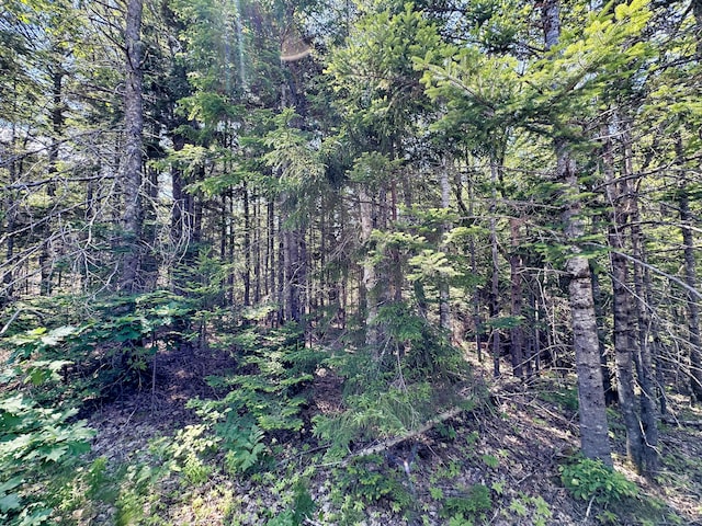 LOT5 Crooked Rd, Bar Harbor, ME 04609