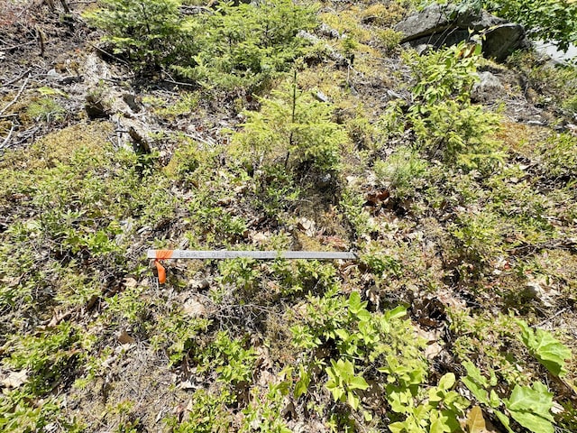 LOT5 Crooked Rd, Bar Harbor, ME 04609