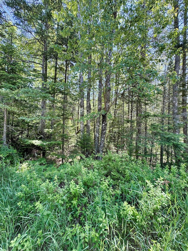 LOT5 Crooked Rd, Bar Harbor, ME 04609