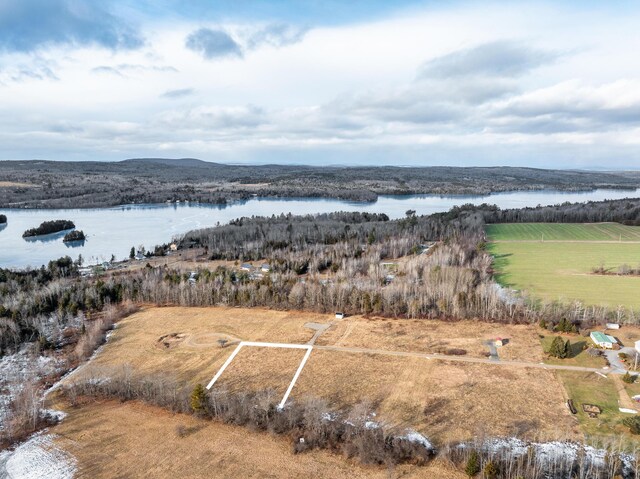 007-019 Indian Heights Dr, Saint Albans, ME 04971