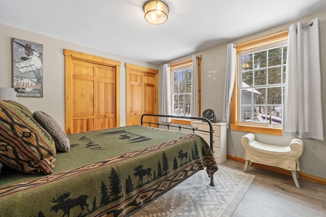 bedroom with hardwood / wood-style flooring and multiple closets