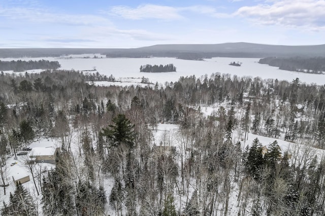 snowy aerial view with a mountain view