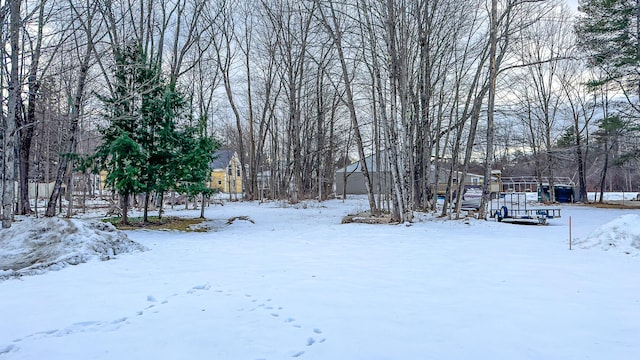 20 N High St, Bridgton, ME 04009 - view of snowy yard