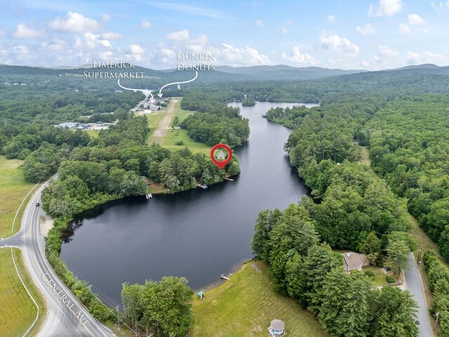 18 Severin Way, Limerick, ME 04048 - aerial view of property's location with a forest and a water and mountain view