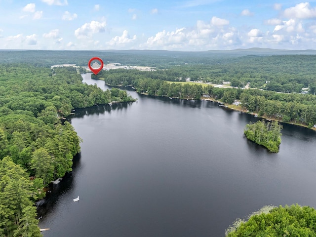 18 Severin Way, Limerick, ME 04048 - drone / aerial view of a heavily wooded area and a nearby body of water