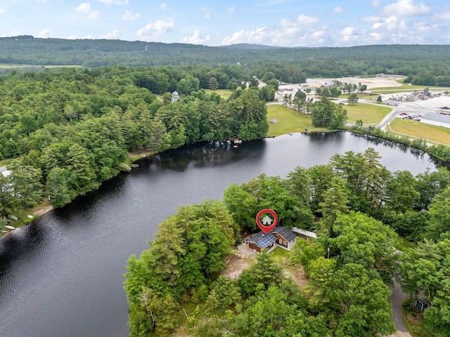 18 Severin Way, Limerick, ME 04048 - drone / aerial view of a forest and a large body of water
