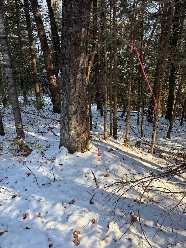 0 Meredith Dr, Windham, ME 04062 - photo 5