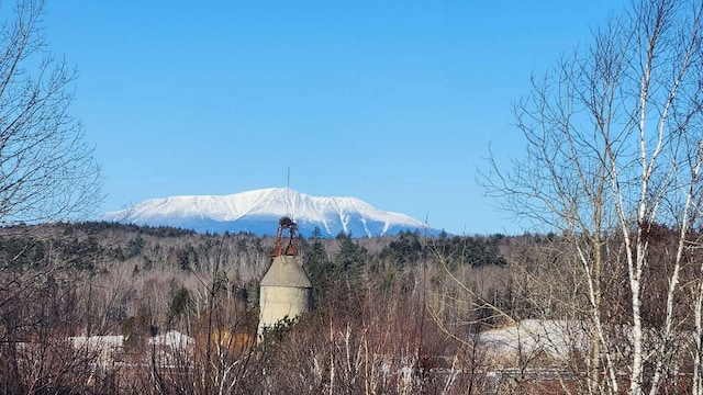 90 E Ter, Millinocket, ME 04462 - view of mountain background with a heavily wooded area
