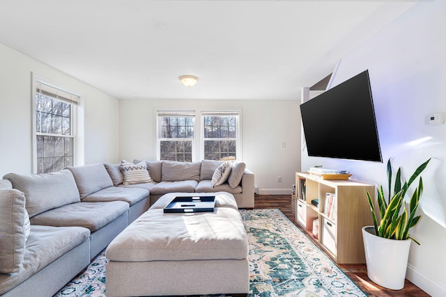 living room with hardwood / wood-style floors