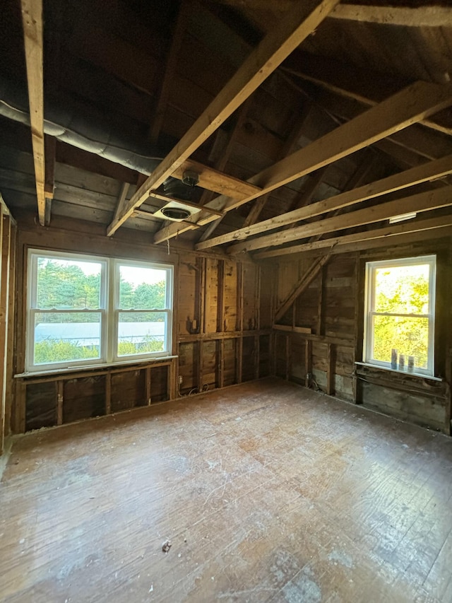 miscellaneous room with a wealth of natural light