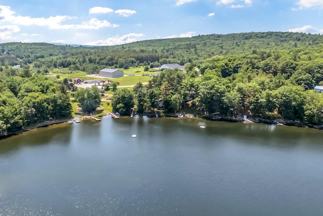 15 W Orchard Ln, Swanville, ME 04915 - photo 41