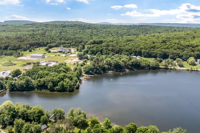 15 W Orchard Ln, Swanville, ME 04915 - photo 42